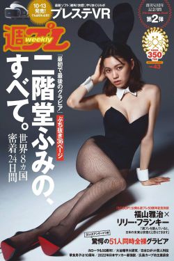 侠探高飞